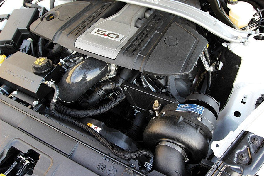 Alternate view of a ProCharger-equipped 2018-23 Mustang GT, Mach 1, Bullitt, California Special (5.0 4V)