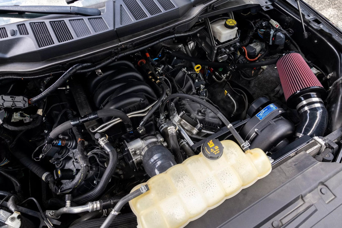 2021-23 Ford F-150 (5.0 4V) engine bay with ProCharger supercharger